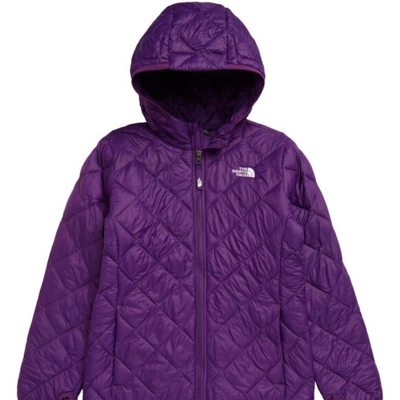 The North Face Kids' ThermoBall™ Eco Hooded Parka (Big Girl) Size XL (18)Purple - Picture 5 of 5